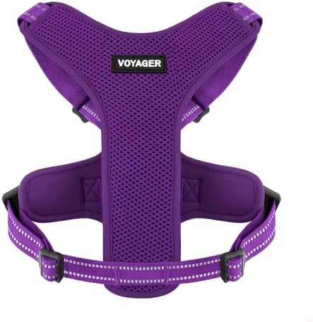 Air Frontier Mesh Dog Harness with Steel Leash D-Ring, Reflective Stitching, and Lightweight Breathable No-Pull Design, Adjustable Neck and Chest Straps for Small to Large Breeds - PPW, XS
