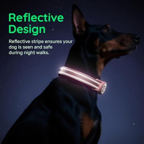 Premium Airtag Dog Collar，with IP68 Waterproof AirTag Holder,Pink,XS