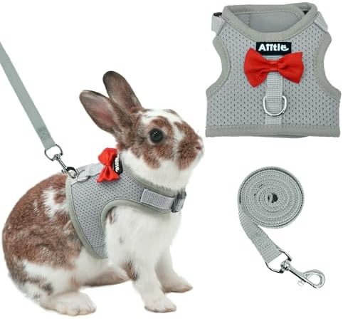 AIITLE Breathable Bunny Harness and Leash Set with Cute Bow, Grey L