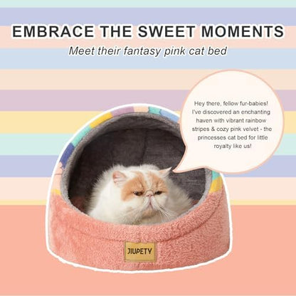 Cute Cat Beds for Indoor Cats, Cat Cave Bed for Kittens, Hideaway Cat House