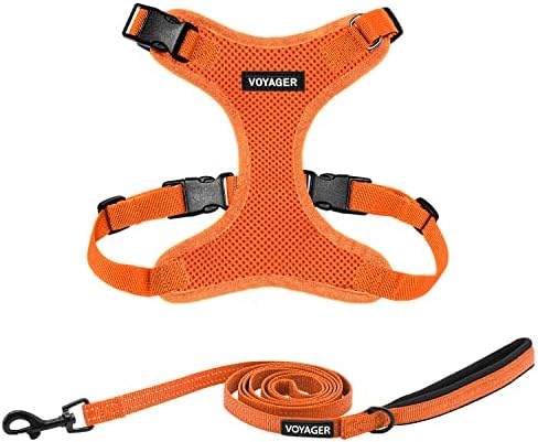 Best Pet Supplies Voyager Step-in Lock Pet Harness w Reflective Pet Leash Combo Set with Neoprene Handle 5ft - Supports Small, Medium and Large Breed Puppies/Cats - Orange, XS