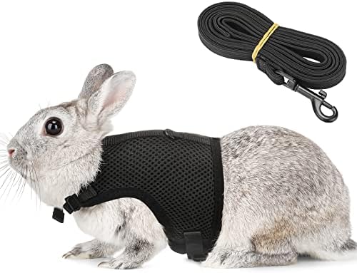 PETTOM Bunny Rabbit Harness with Stretchy Leash Cute Adjustable Buckle Breathable Mesh Vest for Kitten Small Pets Walking (Black,XL)