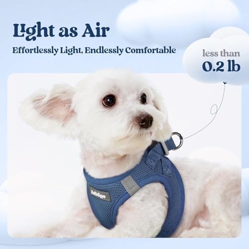 rabbitgoo Dog Harness Medium Sized and Leash Set, Step-in Puppy Pet Vest
