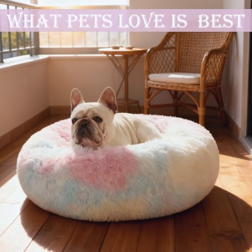 Washable Calming Dog & Cat Bed for Ultra Large Small Medium Size Pet