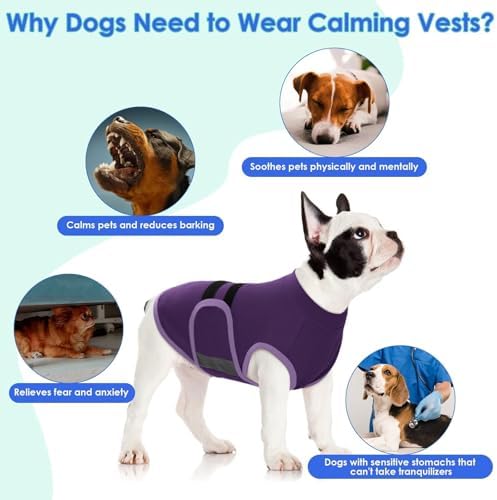 MIGOHI Dog Anxiety Relief Coat, XL, Purple