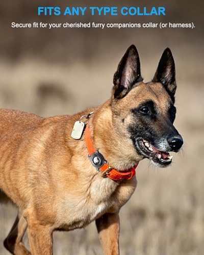 Airtag Dog Collar Holder | Airtag Dog Collar Waterproof - Airtag Holder for Dog Collar - Dog Airtag Holder with Removable Metal Loop, Light Weight fit Width3cm/ Thick4.5mm Air Tag Dog Collar, Pink, 1