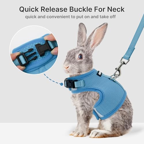 AIITLE Adjustable Rabbit and Leash Set - Lightweight & Portable, Padded Vest with Magic Tape Design, Indoor/Outdoor Use - Fits Hamsters, Rats, Iguanas, Puppies, Cats, Blue M