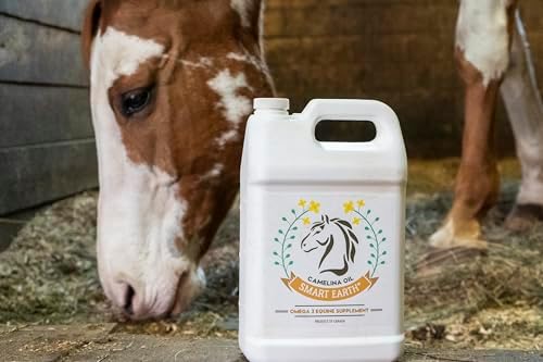 100% Pure Camelina Oil for Horses – Omega 3 & Vitamin E Rich Supplement for Coat, Hooves, Arthritis, Joints, Weight Gain & Ulcers – False Flaxseed Oil Made in Canada by Smart Earth, 1gal.