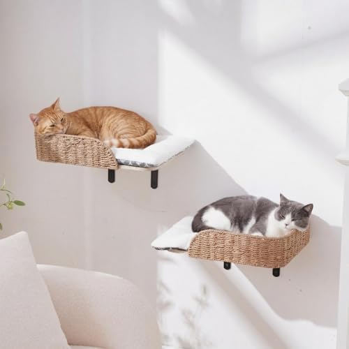 SHENGOCASE 2-Pack Wooden Cat Wall Bed with 3 Steps