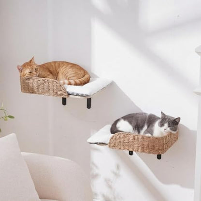 SHENGOCASE 2-Pack Wooden Cat Wall Bed with 3 Steps