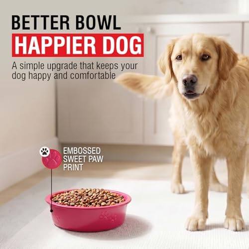 Loving Pets Dolce Luminoso Dog Bowl, Large, Pink