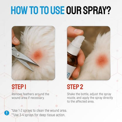 SILVER GRADE Wound Spray for Chicken – Birds & Chicken Antibiotics Alternative to Help with Pecking Sores, Bumblefoot, Cuts – Poultry Spray with Silver – GMOs Free – 4-Oz Bottle