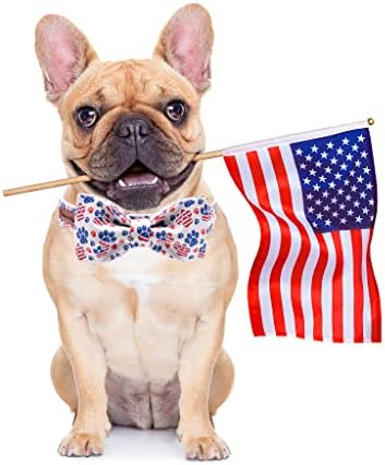 Lionheart Glory American Flag Dog Collar - 4th of July Collar with Adjustable Bow for Small Dogs