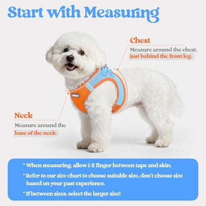 rabbitgoo Dog Harness Medium Sized and Leash Set, Step-in Puppy Pet Vest