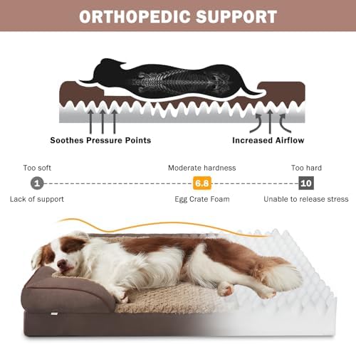 INVENHO Orthopedic Dog Beds Large Sized, XL Egg-Crate Foam Dog Couch with Washable Removable Cover, Waterproof Lining and Nonskid Bottom