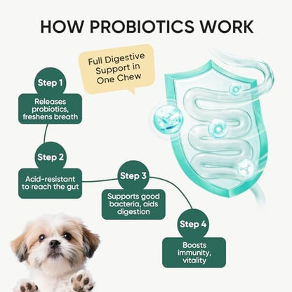 Probiotics for Dogs Gut Digestive Health Probiotic Chews 200 Ct Chicken