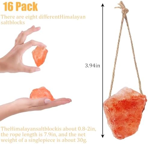 Hamiledyi 16 PCS Rabbit Salt Lick Block Natural Small Animal Himalayan Salt Lick Chew Toys with Hanging Rope Rat Mineral Block Chew Treat Supplies for Bunny Guinea Pig Chinchilla Ferret Hametsr