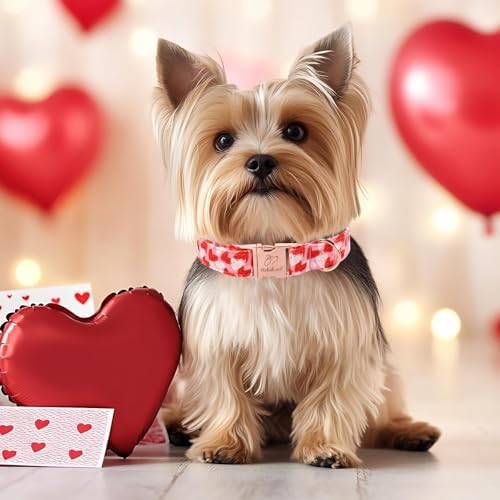 Valentines Dog Collar, Cute Pink Valentine Dog Collars, Doodle Heart Pattern, Adjustable Heavy Duty Pet Collar for Small Medium Large Dogs with Metal Buckle L