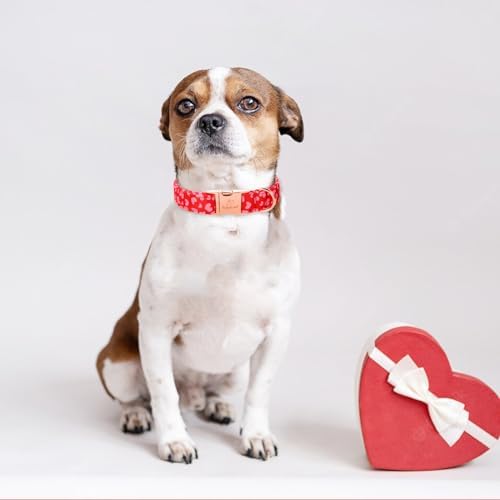 Valentines Dog Collar, Red Pink Heart Valentine Pet Collar with Metal Buckle, Durable Adjustable Holiday Dog Collars for Small Medium Large Dogs S
