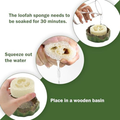 5pcs Dubia Roach Live Tree Stump Feeding Bowls & Green Bamboo Water Bowls Container with Loofah Net Set, Habitat for Dubia Roaches Live, Crickets & Springtails, Habitat Supplies
