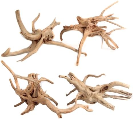 emours Driftwood Branches Reptiles Aquarium Decoration Assorted Size,(5.5-8 inch in Length),4 Pieces (Spider Wood)