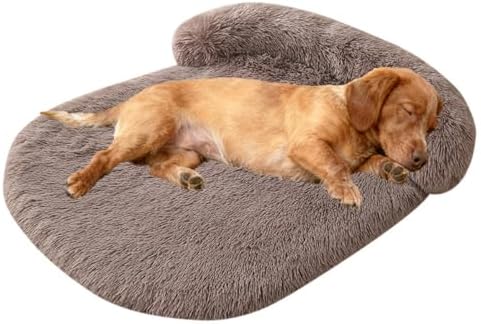 Orthopedic Dog Bed with Egg-Crate Base, Calming Dog Beds Fluffy Plush Faux Fur with Raised Edges, Spine Friendly Pet Sleeping Mat for Medium Large Dogs, Machine Washable (Oval, Brown 32"x24")