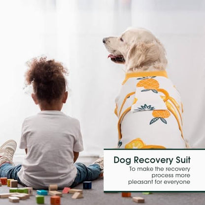 Kuoser Recovery Suit for Dogs Cats, Soft Dog Surgery Suit Female Male Spay