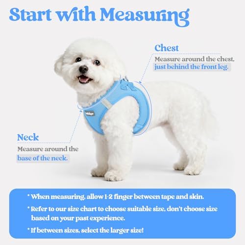 rabbitgoo Dog Harness Medium Sized and Leash Set, Step-in Puppy Pet Vest