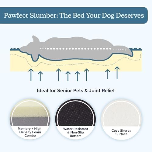 Orthopedic Dog Bed - 2-Layer Memory Foam Crate Mat with Machine Washable Sherpa Cover - 36x27 Pet Bed for Large Dogs Up to 65lbs by PETMAKER (Brown)