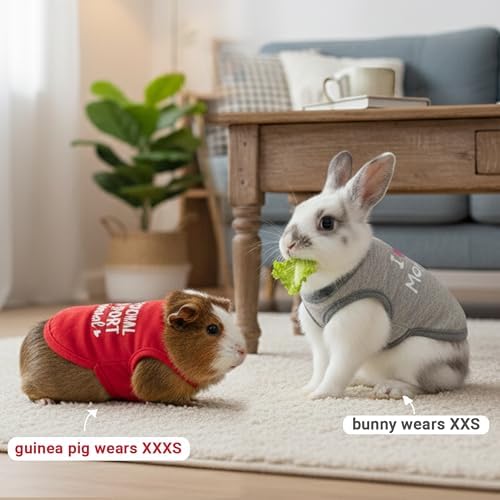 Guinea Pig Clothes (2-Pack), Soft Small Animal Vest T-Shirt