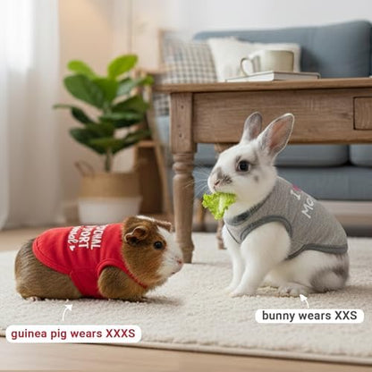 Guinea Pig Clothes (2-Pack), Soft Small Animal Vest T-Shirt