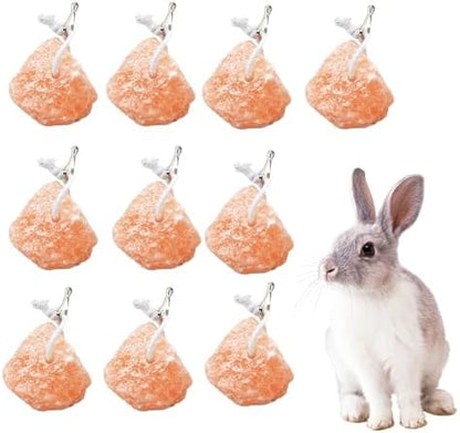 kathson Natural Small Pet Salt Lick,10 pcs Himalayan Salt Block for Rabbits,Promoting Increased Water,Bunny Mineral Block Supplementation,Small Animal Hanging Chew Toys for Guinea Pig,Cat,Dog,Ferret