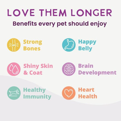 Health Extension Gently Cooked Chicken & Pumpkin Dog Food, Human-Grade & Shelf-Stable with Superfoods, Supports Digestion, Immunity, Skin & Coat, 9 oz Pouch (Pack of 10)