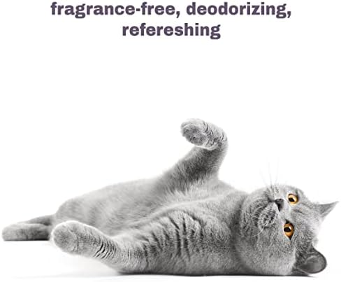 Soothing Hypoallergenic Cat Shampoo, Fragrance-Free, 9 fl oz
