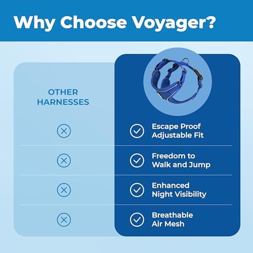 Voyager Escape-Proof Step-in Lock Cat Harness & 5ft Neoprene-Handle Leash Set All-Weather Mesh with Reflective Stitching for Small to Large Cats by Best Pet Supplies, Royal Blue (327), M