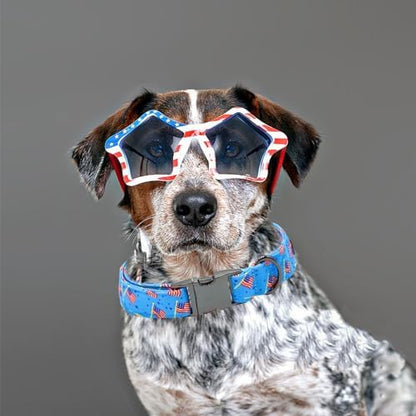 Independence Day Dog Collar, Summer Blue Flag Durable Metal Boy Dog Collars Adjustable Pet Collar for Small Medium Large Dogs