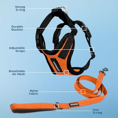 Best Pet Supplies Voyager Step-in Lock Pet Harness w Reflective Pet Leash Combo Set with Neoprene Handle 5ft - Supports Small, Medium and Large Breed Puppies/Cats - Orange/Black Trim Set, XL
