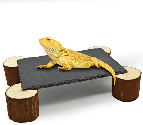 Bearded Dragon Basking Platform,Reptile Slate Basking Rock,Large
