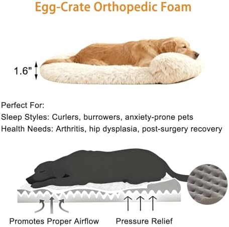 Orthopedic Dog Bed with Egg-Crate Base, Calming Dog Beds Fluffy Plush Faux Fur with Raised Edges, Spine Friendly Pet Sleeping Mat for Medium Large Dogs, Machine Washable (Oval, Beige 40"x30")