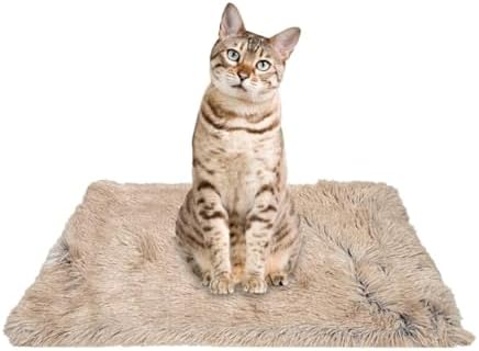 PJYuCien Lightweight and Portable Soft Pet Blanket, 16"x24", Beige