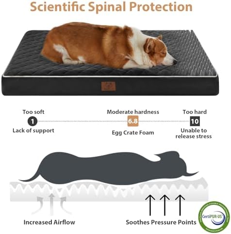 WNPETHOME Orthopedic Waterproof Large Sized Senior Dogs Bed for Comfy Sleep