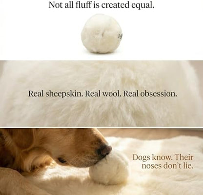 Real Sheepskin Snuggle Ball for Dogs