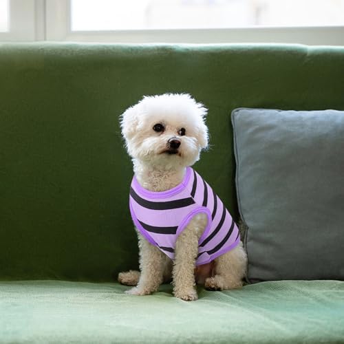 Queenmore Large Striped Dog Shirt,Soft Breathable Dog Shirt for Dogs Cats Boy Girl,Pet Clothes for All Season,Breathable Lightweight Pet Tshirt for Frenchie, Dachshund, Yorkie