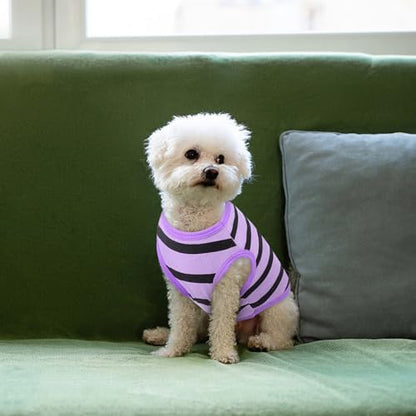 Queenmore Large Striped Dog Shirt,Soft Breathable Dog Shirt for Dogs Cats Boy Girl,Pet Clothes for All Season,Breathable Lightweight Pet Tshirt for Frenchie, Dachshund, Yorkie