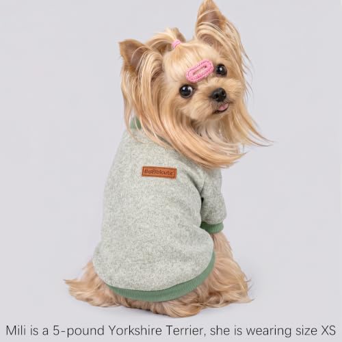 2 Pack Dog Sweaters for Small Dogs Girl Boy Winter Fleece Clothes Warm Soft Dog Sweatshirt Outfit for Dogs Cats Pet Apparel (Light Blue+Matcha Green, M (Back: 13.7", Chest: 17.7", 10-14 lbs))