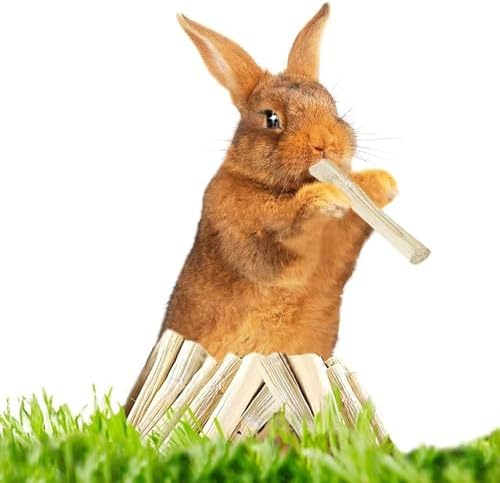 SunGrow Sweet Bamboo Chew Sticks for Rabbits, 2 oz. Bunny Molar Chew Sticks for Guinea Pigs, Chinchillas, Gerbils, Hamsters and Small Animals