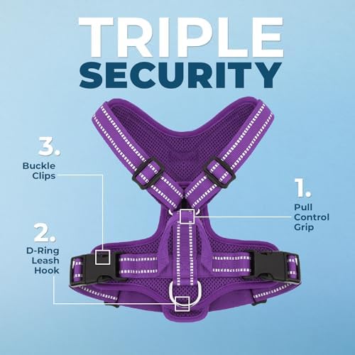 Air Frontier Mesh Dog Harness with Steel Leash D-Ring, Reflective Stitching, and Lightweight Breathable No-Pull Design, Adjustable Neck and Chest Straps for Small to Large Breeds - PPW, XS