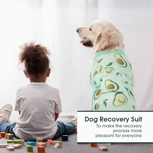 Kuoser Recovery Suit for Dogs Cats, Soft Dog Surgery Suit Female Male Spay