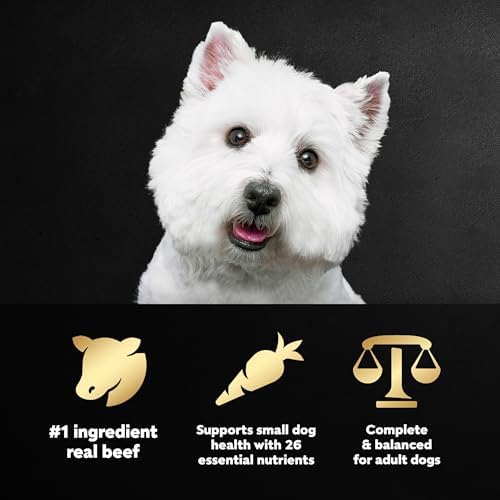 Cesar Small Breed Dry Dog Food, Filet Mignon & Spring Vegetable, 2.7 lb