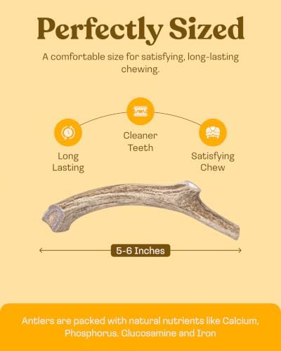 Mountain Valley Deer Antlers for Dogs Organic Chew Whole Dog Antler, Medium